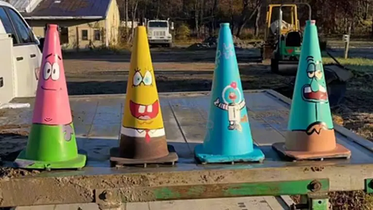 Painted Traffic Cones